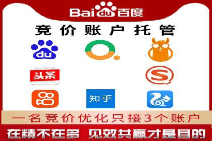 SEM代运营推广公司成功案例，助力企业实现多元化发展